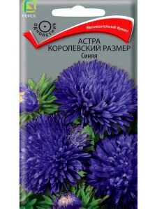 Астра королевский размер Синяя