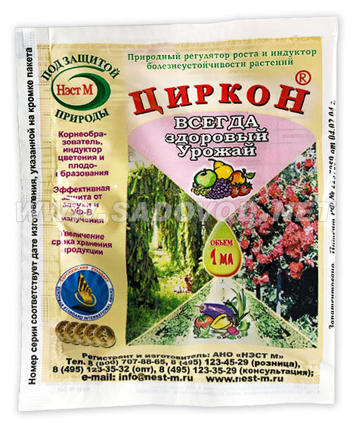 Циркон