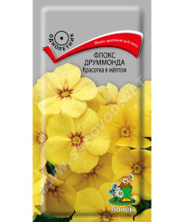 Флокс Красотка в жёлтом (друммонда) Флокс Красотка в жёлтом (друммонда)