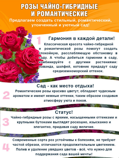 Роза Айсфогель