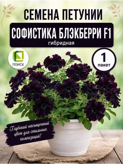 Петуния гибридная Софистика Блэкберри семена