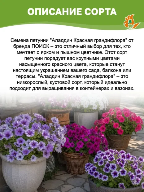 Петуния грандифлора Аладдин Красная (ПРОФИ) семена