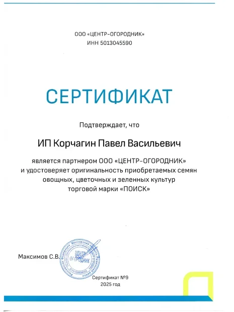Цинния изящная Смесь окрасок семена