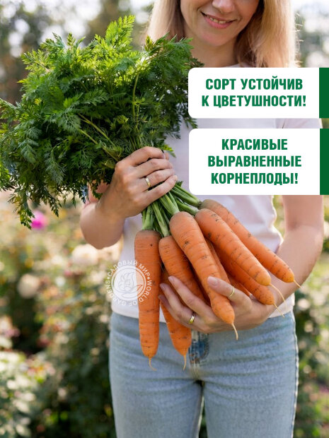 Морковь на ленте Королева осени семена 