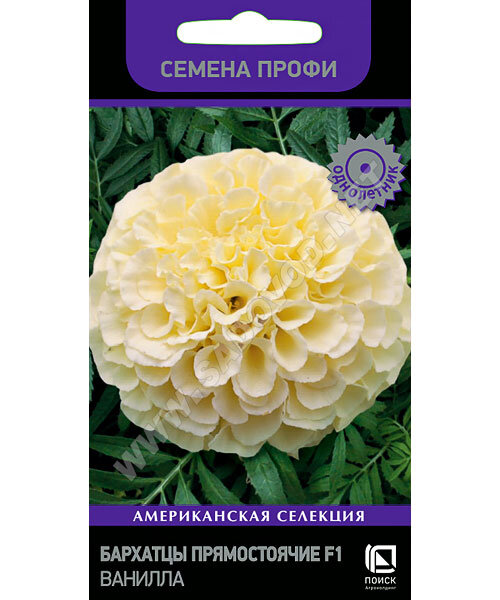 Бархатцы прямостоячие Ванилла (ПРОФИ) семена