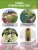 Гортензия Сандей Фрайз (метельчатая) саженцы 